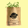 Coriander - Herb Growing Kit in a Bag