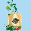 Nasturtium - Herb Growing Kit in a Bag