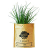 Chives - Herb Growing Kit in a Bag