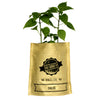 Chilli - Herb Growing Kit in a Bag