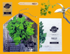 Parsley - Herb Growing Kit in a Satchel