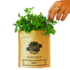 Parsley - Herb Growing Kit in a Bag