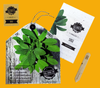 Sage - Herb Growing Kit in a Satchel