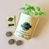 Basil - Herb Growing Kit in a Bag