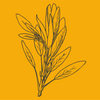 Sage - Herb Growing Kit in a Satchel